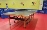 Double Fish Table 266 25mm Top (ITTF approval Type)